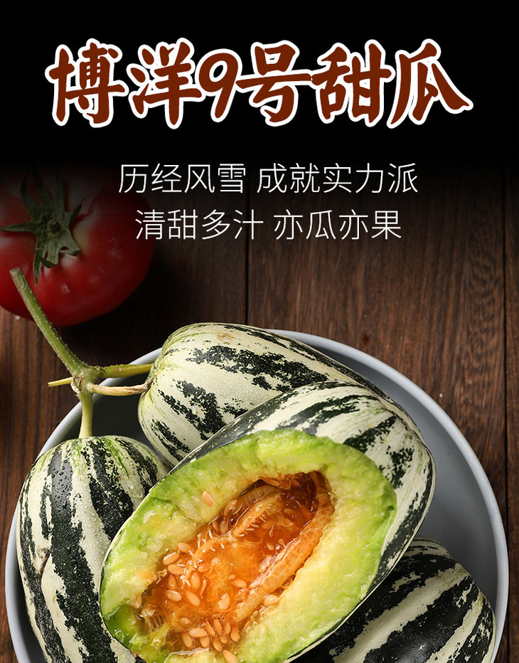 博洋9号甜瓜脆嫩爽口鲜甜爆汁