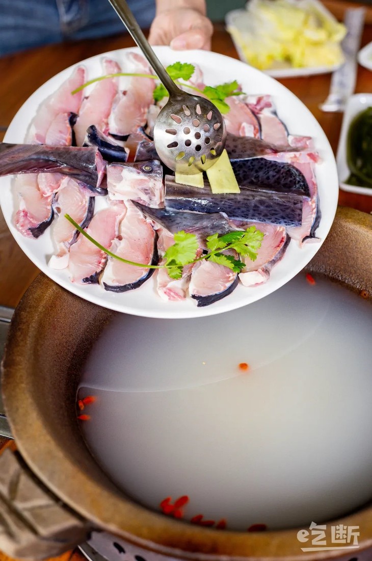吃断鸭嘴鱼首度开团鲜活鸭嘴鱼火锅套餐低至39元限前200份