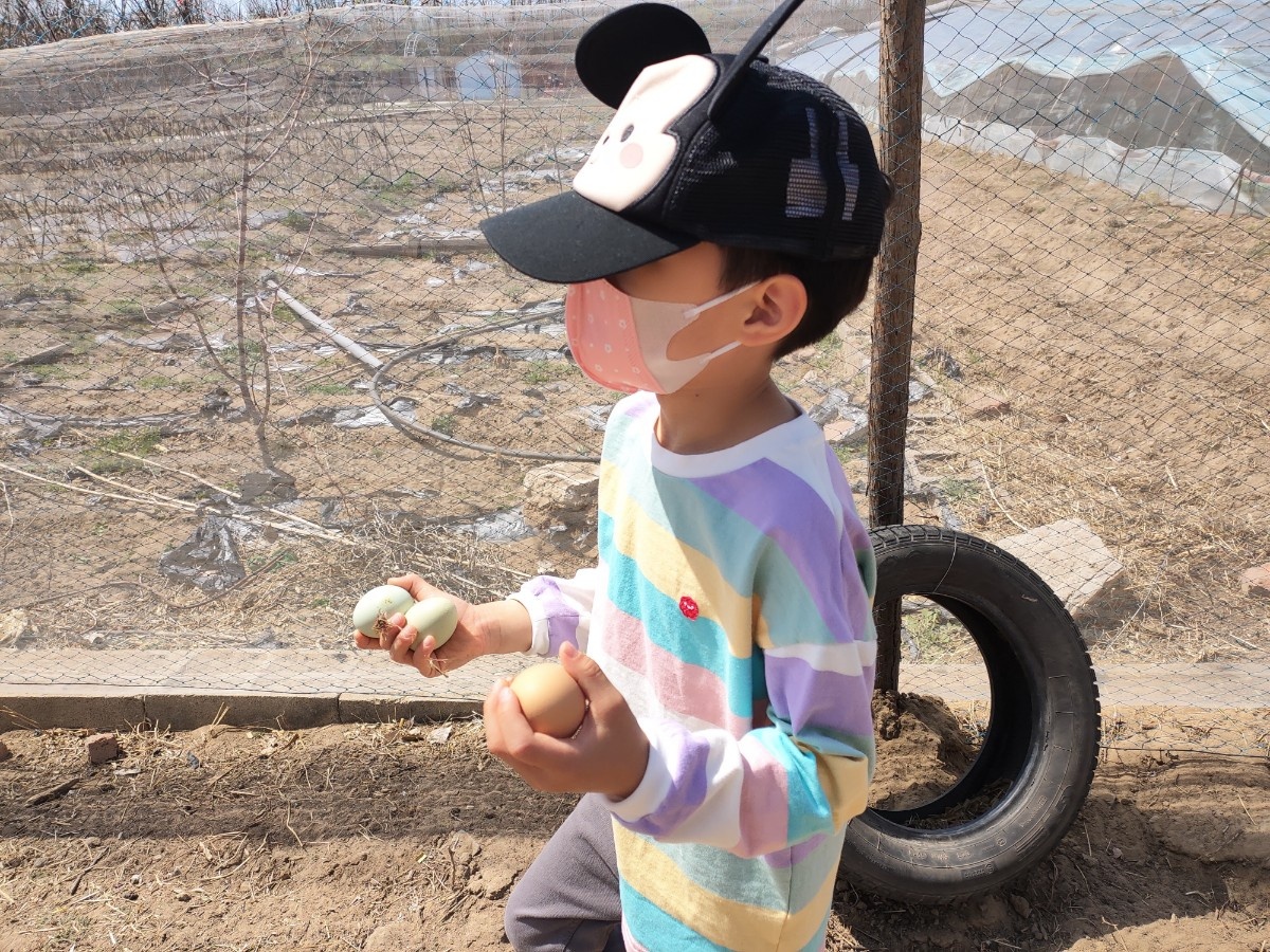 微信图片_20200414231533.jpg 微信图片_20200414231533.jpg