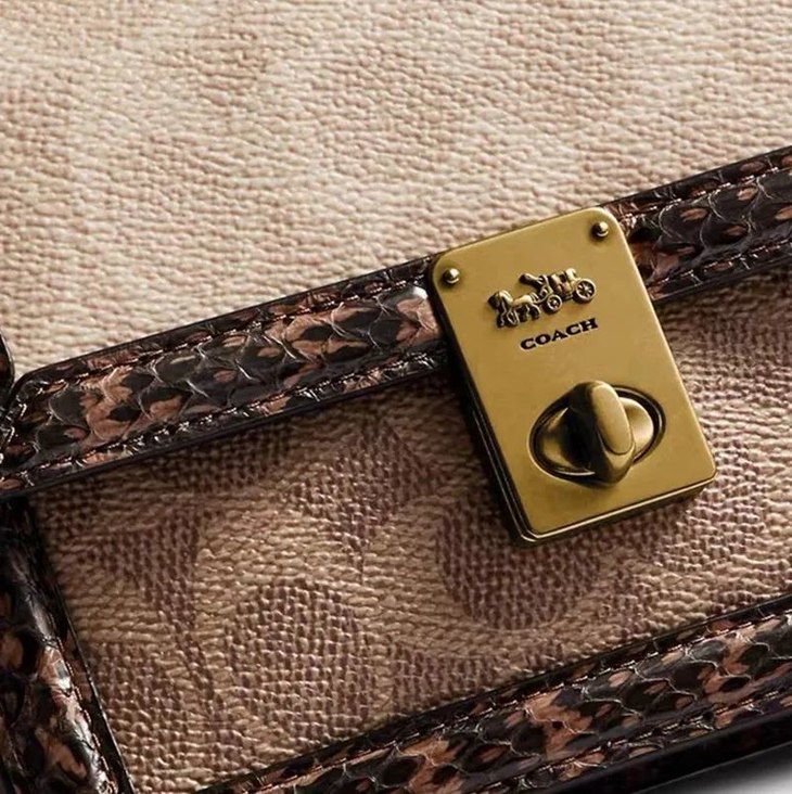 万人种草的2020蔻c最新款哈顿蛇皮小方包,可做斜跨可做腰包!