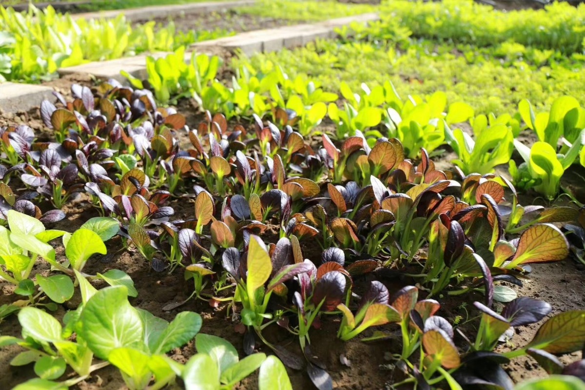 微信图片_20200414214209.jpg 微信图片_20200414214209.jpg