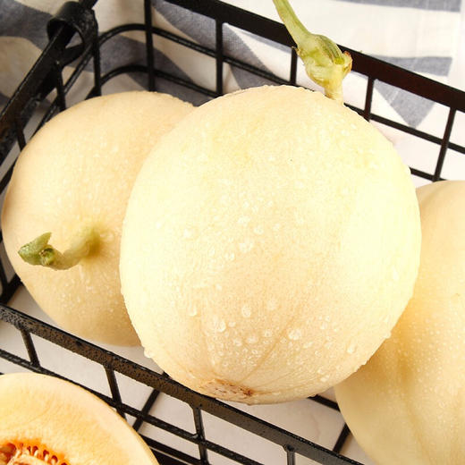 【陕西·阎良】 新鲜甜瓜 当季水果 白皮 郁金香 羊角脆蜜瓜 小香瓜 阎良甜瓜 商品图3