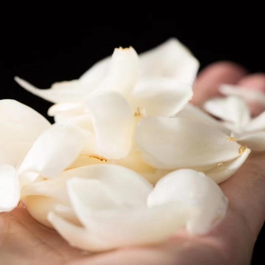 兰州新鲜百合   500g/1000g ±20g  (收到后冷藏保存) 商品图1