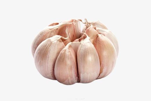 蒜头 商品图0