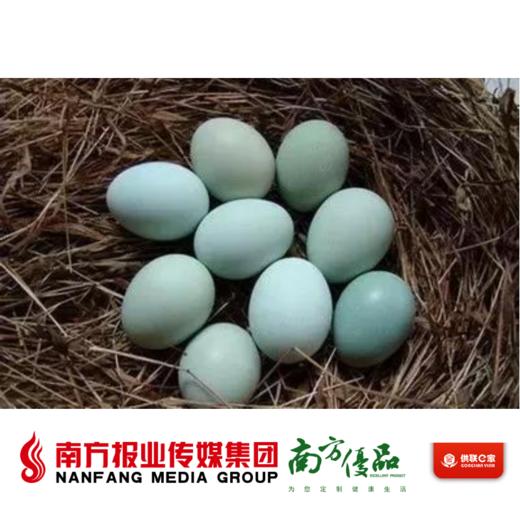 【广东省包邮】五黑鸡蛋  30个/份 （72小时内发货） 商品图0