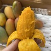 海南树上熟贵妃芒顺丰包邮下单从海南发货 商品缩略图6