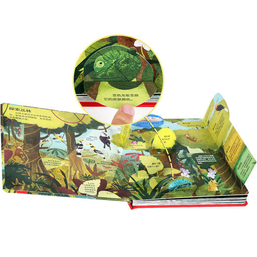 揭秘低幼翻翻书系列第一辑+第二辑（全8册）原价550.40 商品图9