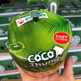 泰国 KPY椰青 只需拉开-按入-撕开-插进4步， 超级方便，非常好喝哦【6只装】