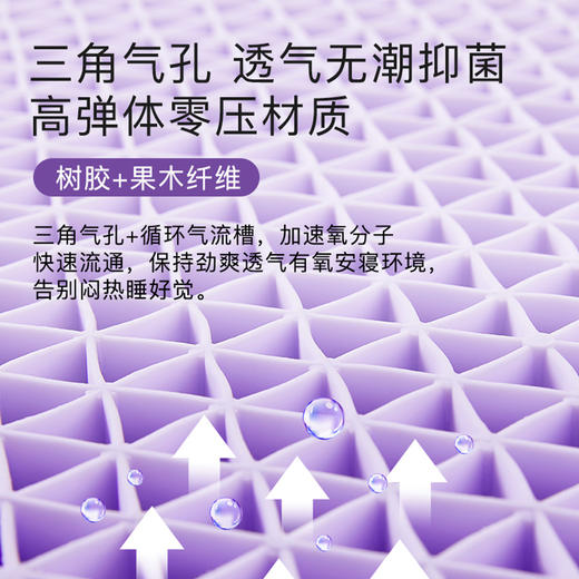紫糯Q弹可水洗零压枕 商品图1