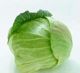 社区团购优质洋白菜