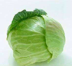 社区团购优质洋白菜 商品图0