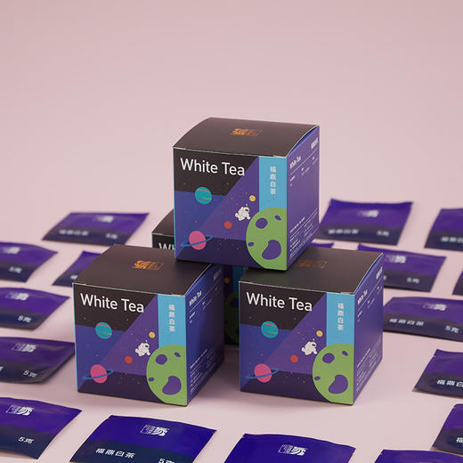 大家系列丨 2019年 宇宙 白毫银针 60g（5g*12片） 商品图8