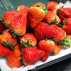 丹东东港玖玖草莓（产地直发） 商品缩略图5