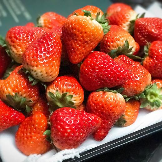 丹东东港玖玖草莓（产地直发） 商品图5