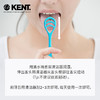 英国KENT舌苔清洁器护理刮舌器刮舌头刮舌板去除清新口臭舌苔刷 商品缩略图3