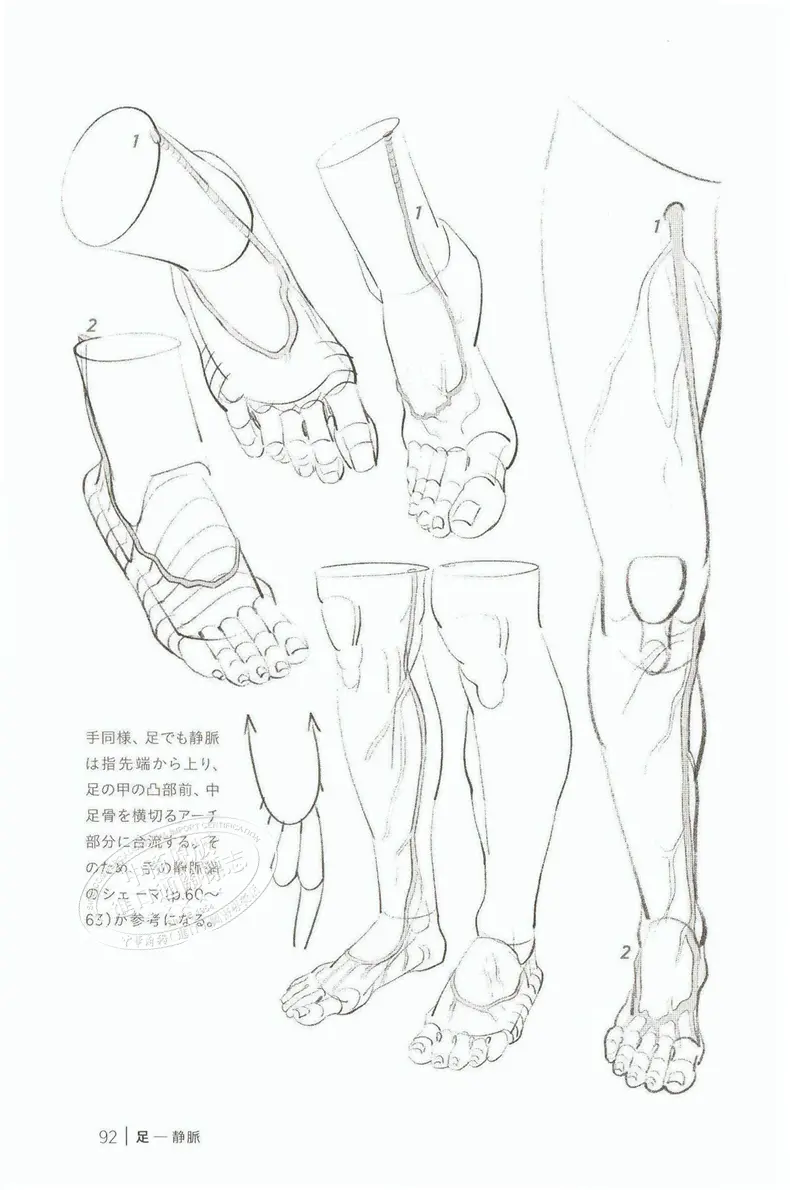中商原版 手和脚的画法 Morpho人体素描 日文原版 手と足を描く モルフォ人体デッサン ミニシリーズ