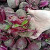 新鲜甜菜根甜菜头 5斤/箱 商品缩略图2