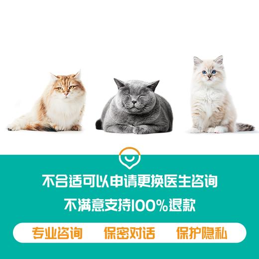 猫研所 执业兽医在线医疗咨询服务 一对一在线咨询 48小时内有效可免费回访一次 商品图3