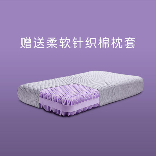 紫糯Q弹可水洗零压枕 商品图2