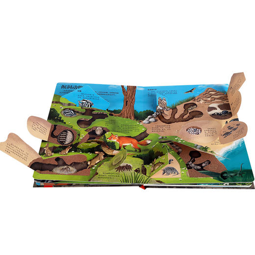 揭秘地下 乐乐趣揭秘翻翻书系列第三辑 3-6-10岁儿童少儿百科全书 小学生认知趣味科普绘本翻翻书 揭秘令人惊奇的地下世界书籍 商品图4