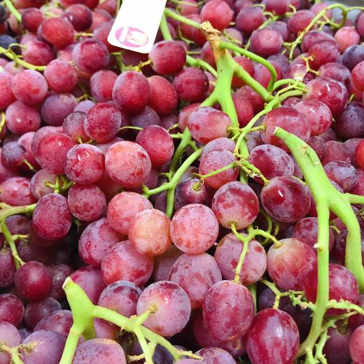 【甜蜜庆典】澳洲无籽红提(甜蜜庆典)无籽葡萄,入口甜肉质脆,汁水丰盈