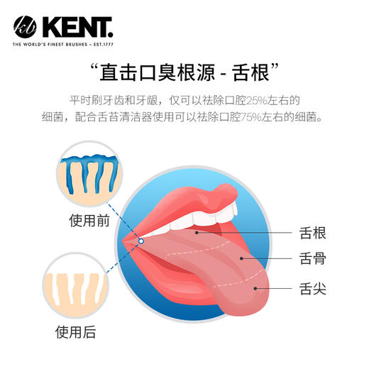 英国KENT舌苔清洁器护理刮舌器刮舌头刮舌板去除清新口臭舌苔刷 商品图2