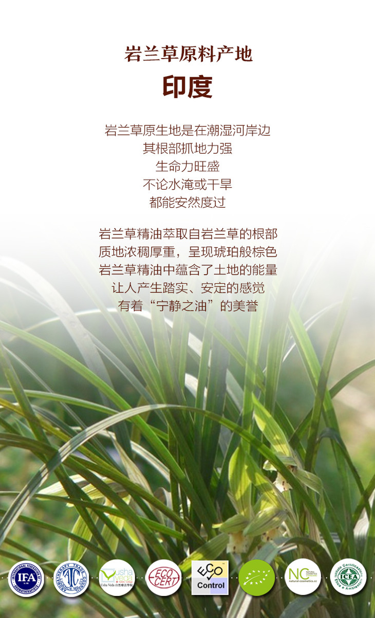 oshadhi德国o家岩兰草精油10ml