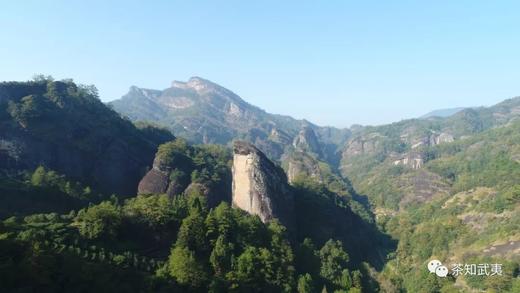 身为武夷茶客，你不得不知道这10个小知识点 商品图0
