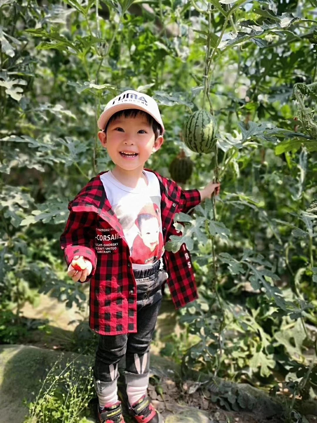 微信图片_20200417010827.jpg 微信图片_20200417010827.jpg