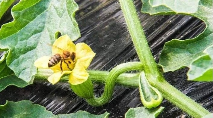 微信图片_20200417001929.jpg 微信图片_20200417001929.jpg