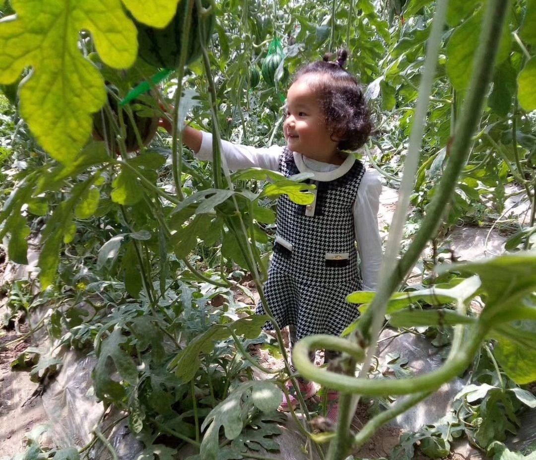 微信图片_20200417010837.jpg 微信图片_20200417010837.jpg