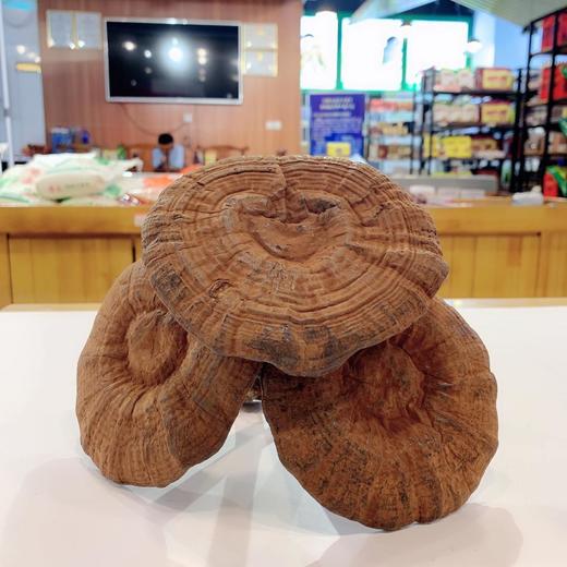 河源和平农家灵芝300g 商品图2