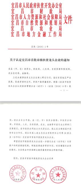 采花五峰毛尖特级250g 商品图2