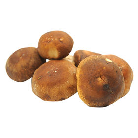 【超市】精品香菇