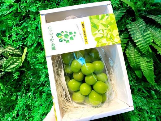 单串🛵香印青提/阳光玫瑰（特级一级） 商品图4