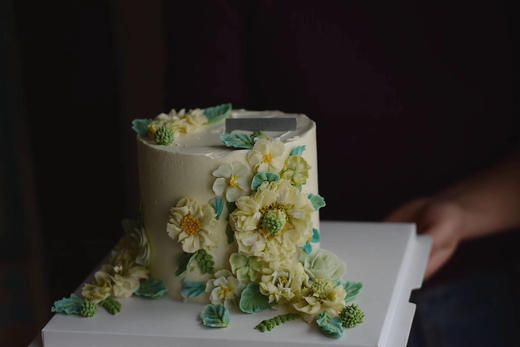 春的足迹 商品图0