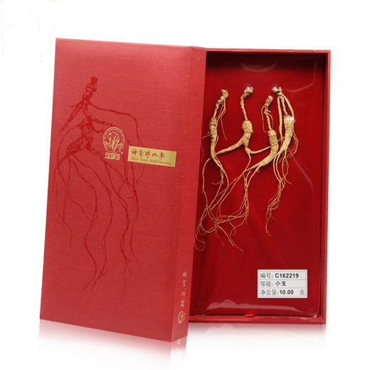 神象野山人参野山参小支礼盒10克富含人参皂甙上药15年以上参品 商品图0