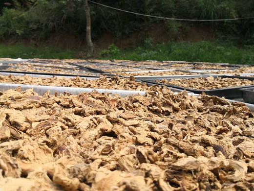 九蒸九晒姜粉|古法炮制 商品图3