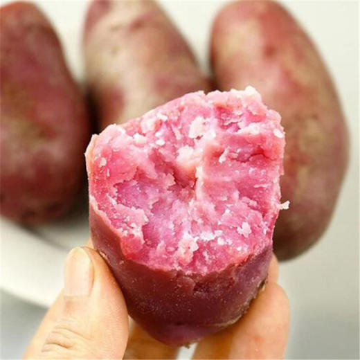 【助农】内蒙古武川红美土豆9.5斤 农家种植 红皮红肉土豆 可生吃