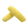 【超市】黄玉米 商品缩略图0