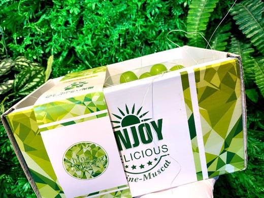 单串🛵香印青提/阳光玫瑰（特级一级） 商品图6