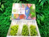 【一级家庭装】云南阳光玫瑰香印青提（2-3串装）2kg 商品缩略图13