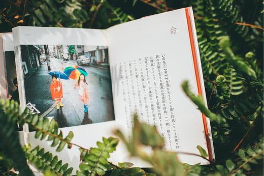 日本原版 | うめ版 新明解国語辞典×梅佳代 写真集 商品图3