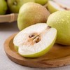 【果】新疆库尔勒香梨4个  约620g 商品缩略图1