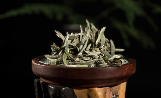 2019年白毫银针【磻溪特级】 商品图3