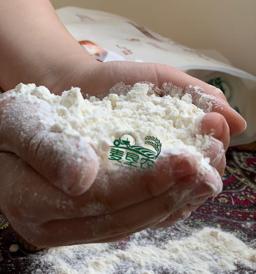 新疆奇台高筋面粉 5kg（蛋白质12.8g)面点烘焙原料 商品图5