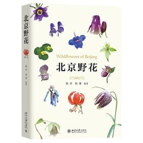 《北京野花》定价：128.00元