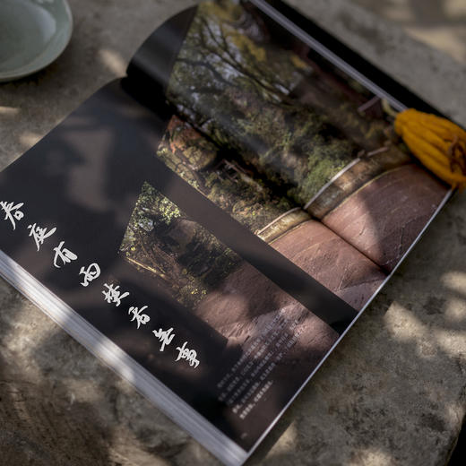 造个院子过生活 商品图5