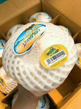 鳄鱼香水椰青9个/件