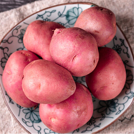 【助农】内蒙古武川红美土豆9.5斤 农家种植 红皮红肉土豆 可生吃